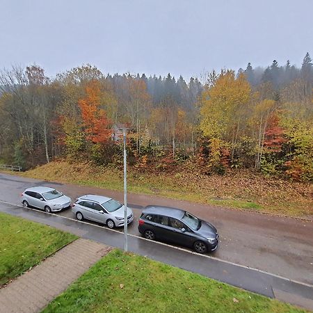 2 Rooms Apartment In Triberg Triberg im Schwarzwald Esterno foto